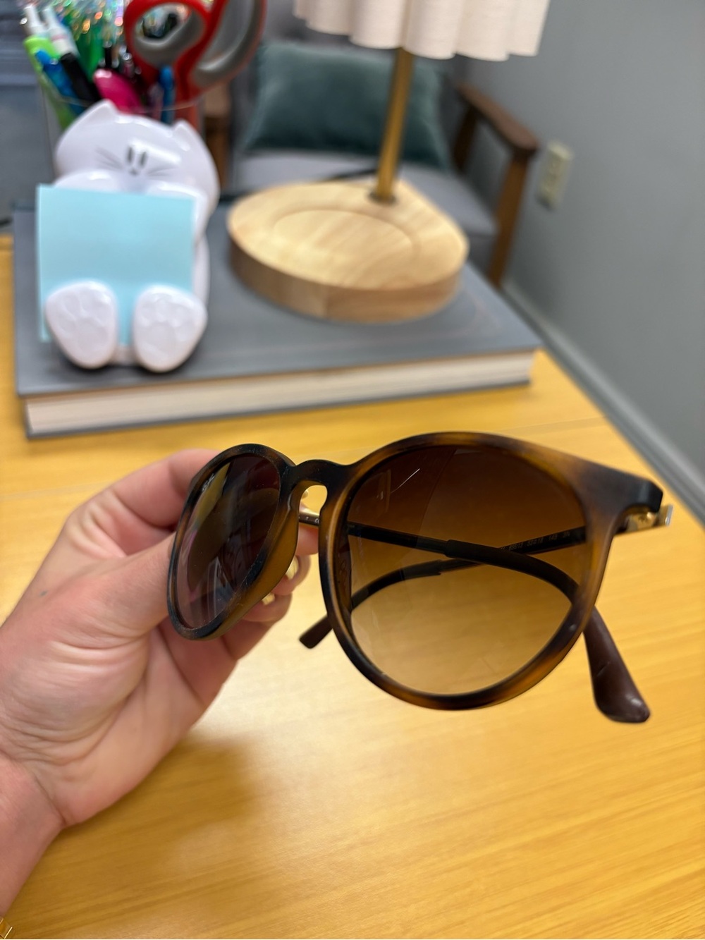 Erika Ray Ban Sunglasses - Picture 13 of 13